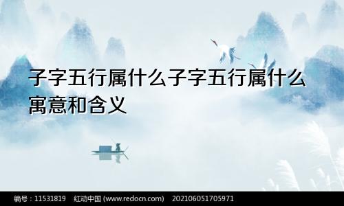 子字五行属什么子字五行属什么寓意和含义