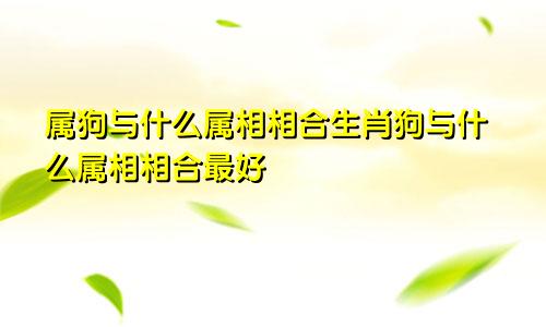 属狗与什么属相相合生肖狗与什么属相相合最好