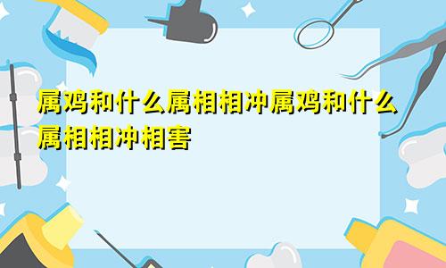 属鸡和什么属相相冲属鸡和什么属相相冲相害