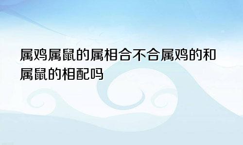 属鸡属鼠的属相合不合属鸡的和属鼠的相配吗