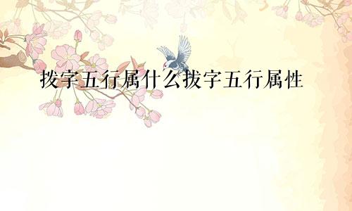 拨字五行属什么拔字五行属性