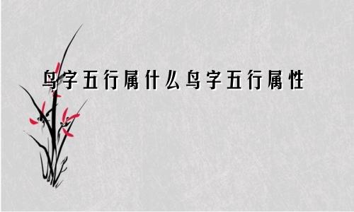 鸟字五行属什么鸟字五行属性