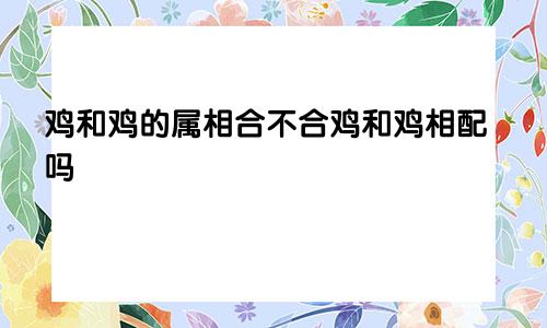 鸡和鸡的属相合不合鸡和鸡相配吗