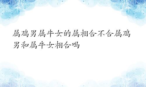 属鸡男属牛女的属相合不合属鸡男和属牛女相合吗