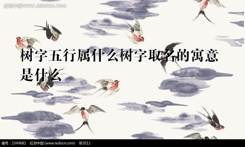 树字五行属什么树字取名的寓意是什么