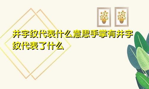 井字纹代表什么意思手掌有井字纹代表了什么