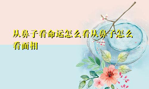 从鼻子看命运怎么看从鼻子怎么看面相