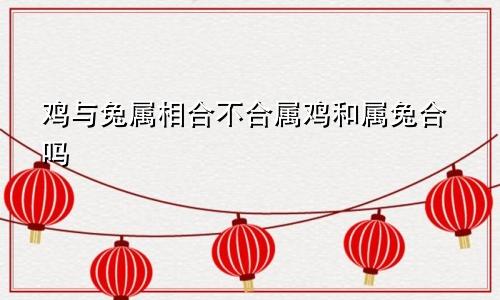 鸡与兔属相合不合属鸡和属兔合吗