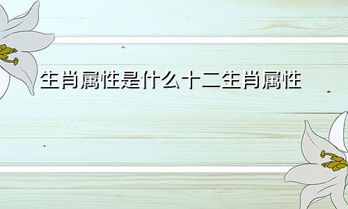 生肖属性是什么十二生肖属性