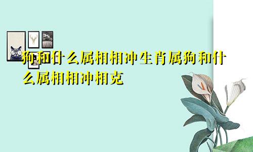 狗和什么属相相冲生肖属狗和什么属相相冲相克