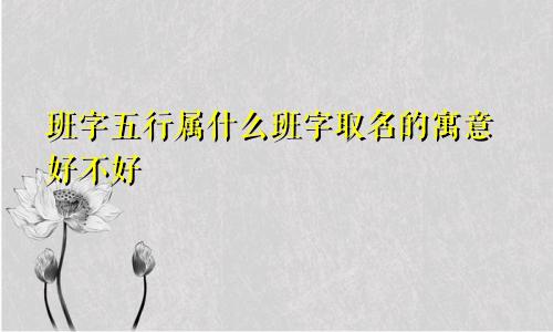 班字五行属什么班字取名的寓意好不好