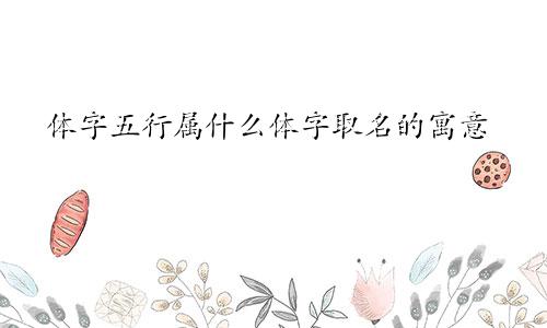 体字五行属什么体字取名的寓意