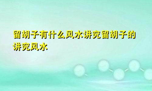 留胡子有什么风水讲究留胡子的讲究风水