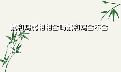 鼠和鸡属相相合吗鼠和鸡合不合