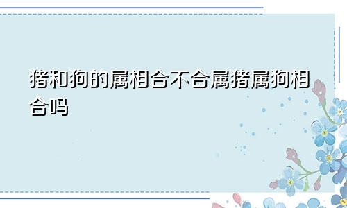 猪和狗的属相合不合属猪属狗相合吗