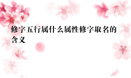 修字五行属什么属性修字取名的含义