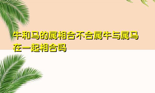 牛和马的属相合不合属牛与属马在一起相合吗