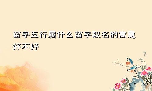 苗字五行属什么苗字取名的寓意好不好