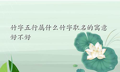 竹字五行属什么竹字取名的寓意好不好