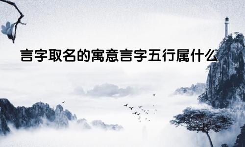 言字取名的寓意言字五行属什么