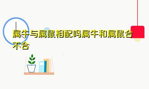 属牛与属鼠相配吗属牛和属鼠合不合