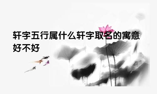轩字五行属什么轩字取名的寓意好不好