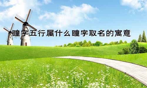 瞳字五行属什么瞳字取名的寓意