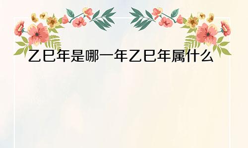 乙巳年是哪一年乙巳年属什么