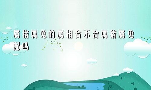 属猪属兔的属相合不合属猪属兔配吗