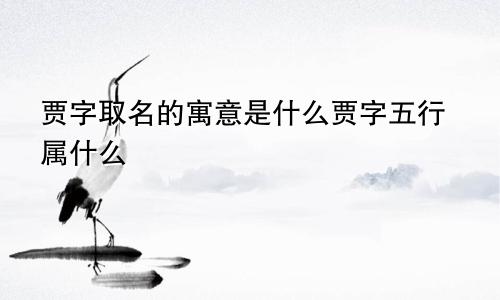 贾字取名的寓意是什么贾字五行属什么