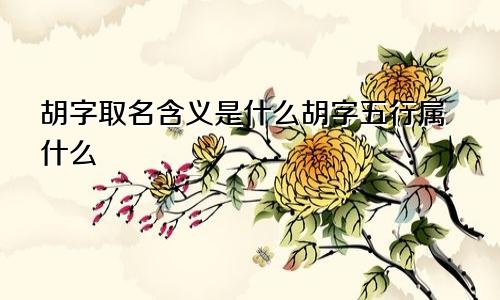 胡字取名含义是什么胡字五行属什么