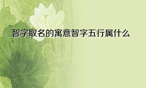 智字取名的寓意智字五行属什么