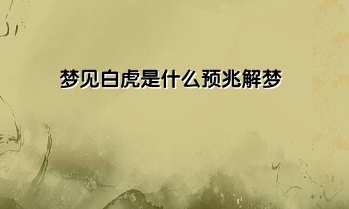 梦见白虎是什么预兆解梦