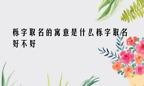 栎字取名的寓意是什么栎字取名好不好