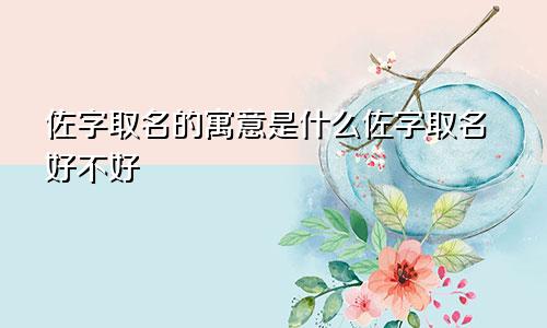 佐字取名的寓意是什么佐字取名好不好