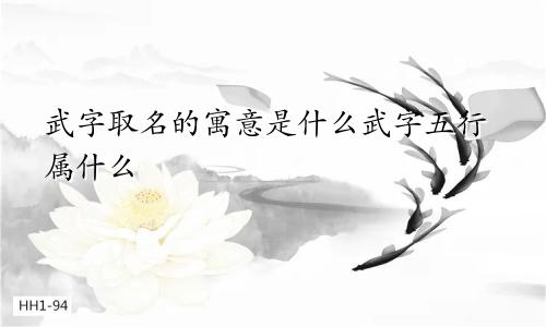武字取名的寓意是什么武字五行属什么