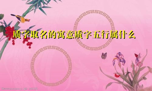 质字取名的寓意质字五行属什么