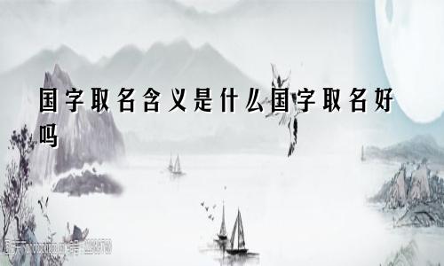 国字取名含义是什么国字取名好吗