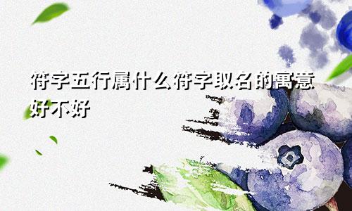 符字五行属什么符字取名的寓意好不好