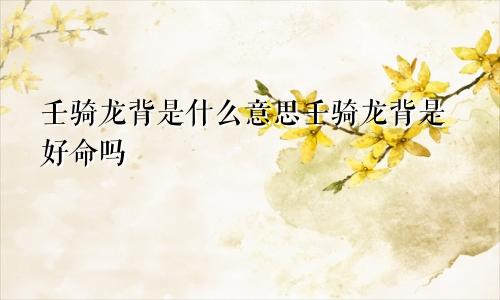 壬骑龙背是什么意思壬骑龙背是好命吗
