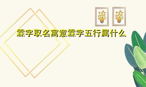 霖字取名寓意霖字五行属什么