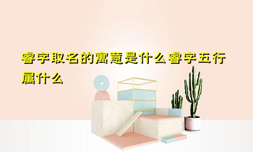 睿字取名的寓意是什么睿字五行属什么