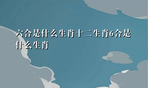 六合是什么生肖十二生肖6合是什么生肖