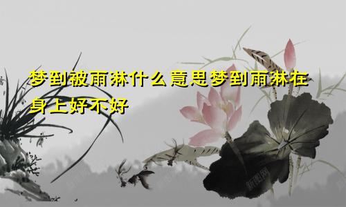 梦到被雨淋什么意思梦到雨淋在身上好不好