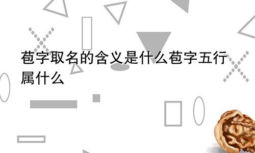 苞字取名的含义是什么苞字五行属什么