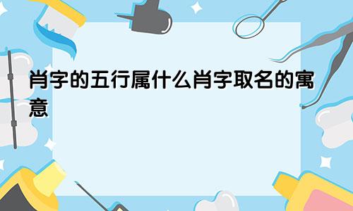 肖字的五行属什么肖字取名的寓意