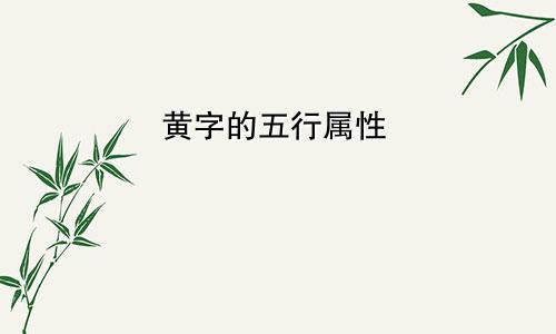 黄字的五行属性