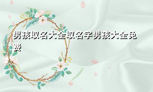 男孩取名大全取名字男孩大全免费