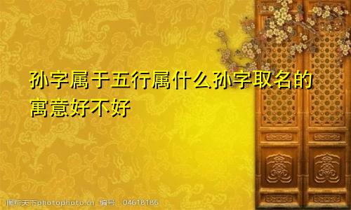 孙字属于五行属什么孙字取名的寓意好不好