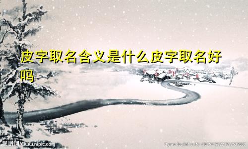 皮字取名含义是什么皮字取名好吗